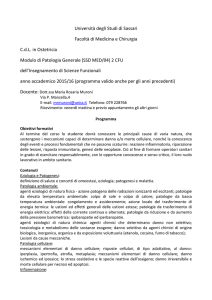 Ost 1a2s Patologia Generale Muroni 2015-16