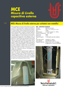 MCE: Misura di livello esterno per serbatoi non metallici MCE