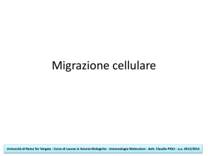Diapositiva 1 - Immunology HomePage