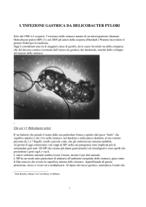 Helicobacter - Dott. Mauro Basilico