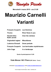 Maurizio Carnelli - Naviglio Piccolo