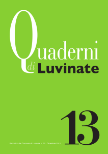 Luvinate n13 - Comune di Luvinate