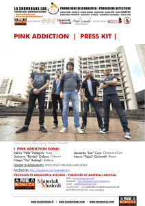 pink addiction | press kit