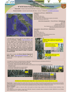3 aree ICP Forests – CONECOFOR (II livello) - LTER