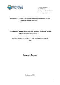 GSA 19_Rapporto Tecnico Indicatori 2012
