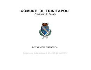 COMUNE DI TRINITAPOLI Provincia di Foggia DOTAZIONE