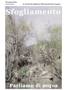 Sfogliamento