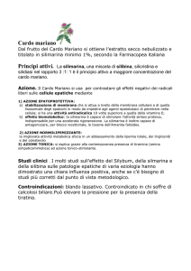 Cardo mariano - Farmacia S.Albano della Dott.sa Fundaro