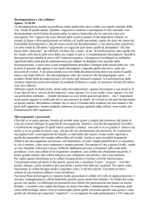 Intervento di M. Arcà a Spinea il 22 aprile 2004, 91 KB