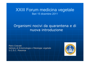 XXIII Forum medicina vegetale Cravedi