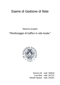 Relazione del Progetto "monitoraggio del traffico di rete con nProbe"