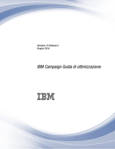 IBM Campaign Guida all`ottimizzazione v10.0