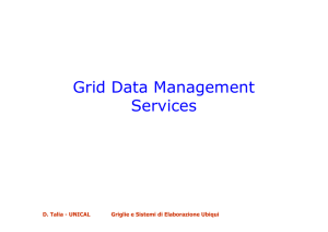 Grid Data Management Services