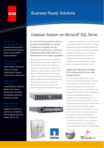 Database Solution con Microsoft SQL Server
