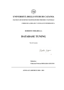 Database Tuning - Tesi Roberto Mirabella