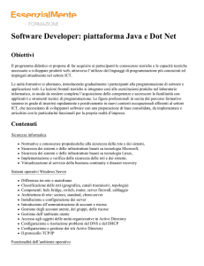 Software Developer: piattaforma Java e Dot Net