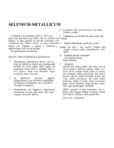 SELENIUM-METALLICUM