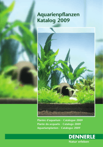 Piante da acquario - Catalogo (PDF, ca. 9 MB)