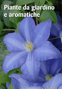 Piante da giardino e aromatiche