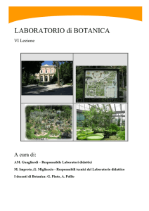 Laboratorio_VI_Botanica