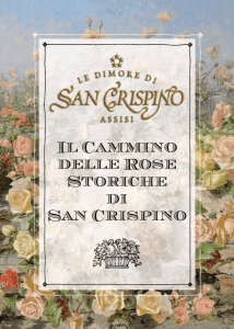 Il Cammino delle Rose Storiche di San Crispino