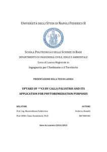 sintesi della Tesi - Ingegneria per l`Ambiente ed il Territorio