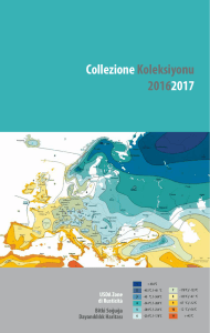 Collezione Koleksiyonu 20162017