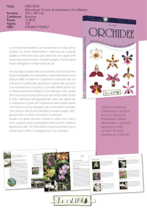orchidee Manuale per la cura, la coltivazione e