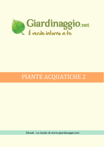 Piante Acquatiche 2