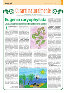 Eugenia caryophyllata - Farmacia Europa Cassino