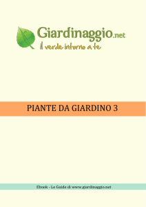 le piante aromatiche