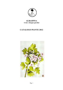 albaspina catalogo piante 2012