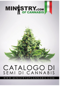 Scarica il catalogo in PDF