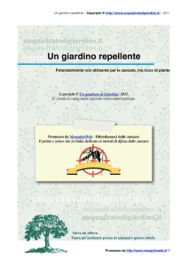 Un giardino repellente - Un quadrato di giardino