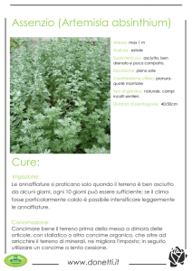 Assenzio (Artemisia absinthium) Cure: