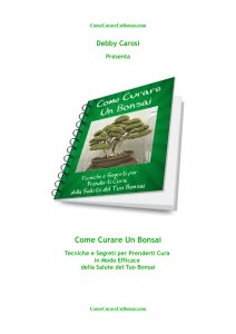 Come Curare Un Bonsai