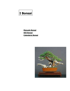 I Bonsai - Università della Terza Età > Home