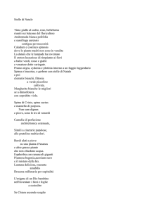 Pierangela Rossi - poesie