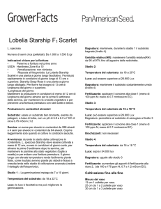 Lobelia Starship F1 Scarlet