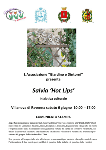 Salvia `Hot Lips`