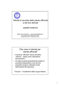 Attività di raccolta delle piante officinali e dei loro derivati aspetto