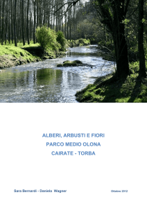 ALBERI, ARBUSTI E FIORI PARCO MEDIO OLONA CAIRATE