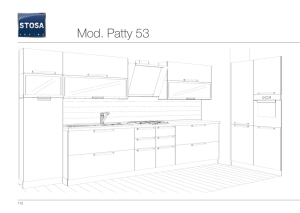 Mod. Patty 53 - Abellio Group Limited