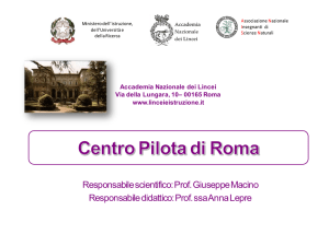 Presentazione Polo Roma 2013-2014