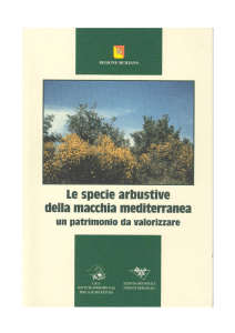 Specie Mediterranee - Istituto Sperimentale per la Floricoltura