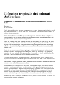 Azione - Settimanale di Migros Ticino Il fascino tropicale dei colorati