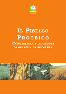 Il Pisello Proteico, una leguminosa da riscoprire - Il Progetto