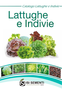 Catalogo Indivia