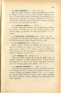230. Paris quadrifolia L. — Fiori, I, p. 279. Rara nei boschi montani e