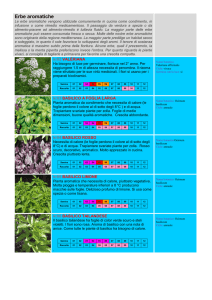 Carciofi e cardi - AgriBio Notizie